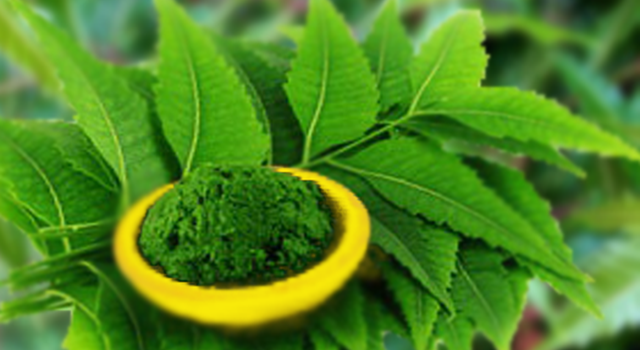 http://pharmaeducation.net/medicinal-uses-of-neem-azadirachta-indica