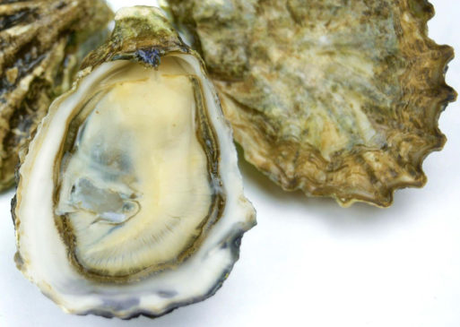 oyster sex foods