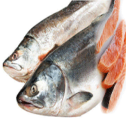 sex drive foods fish