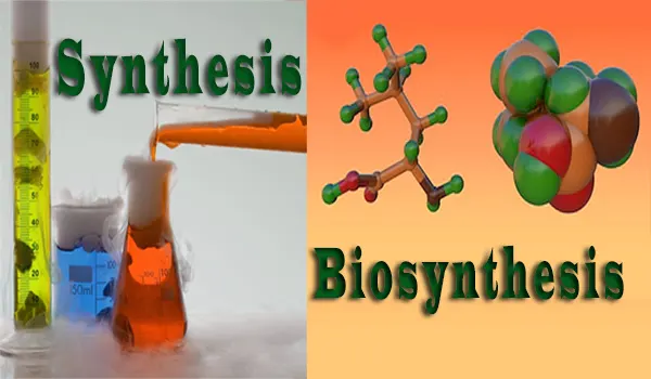 Difference Between Synthesis And Biosynthesis